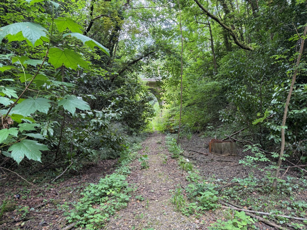 Lot: 37 - JUST UNDER FIVE ACRES OF FORMER RAILWAY LAND WITH POTENTIAL - view towards bridge
